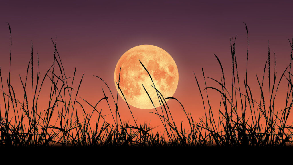 harvest moon over grand rapids ohio