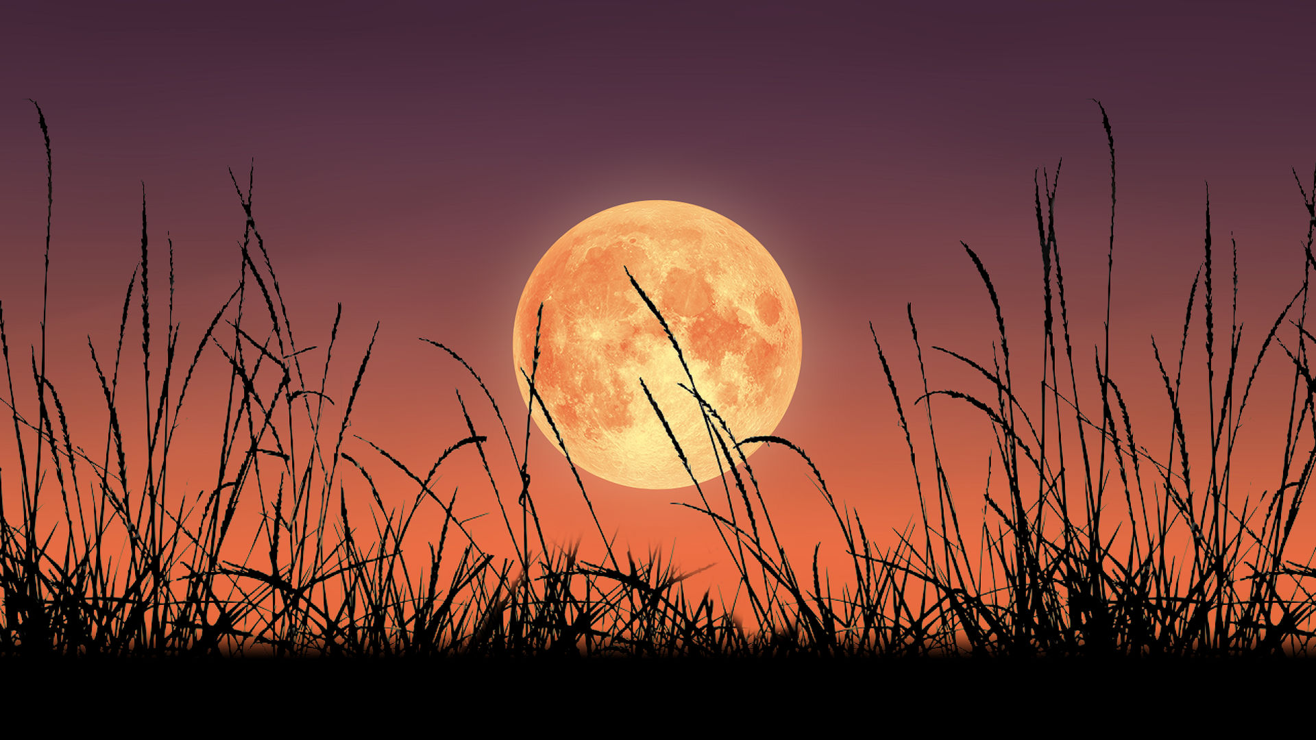 harvest moon over grand rapids ohio