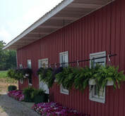 Thurmans Farm Market